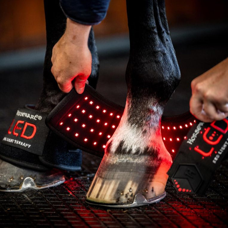Horseware Ireland LED Red Light Therapy Mini Wrap #colour_black-black