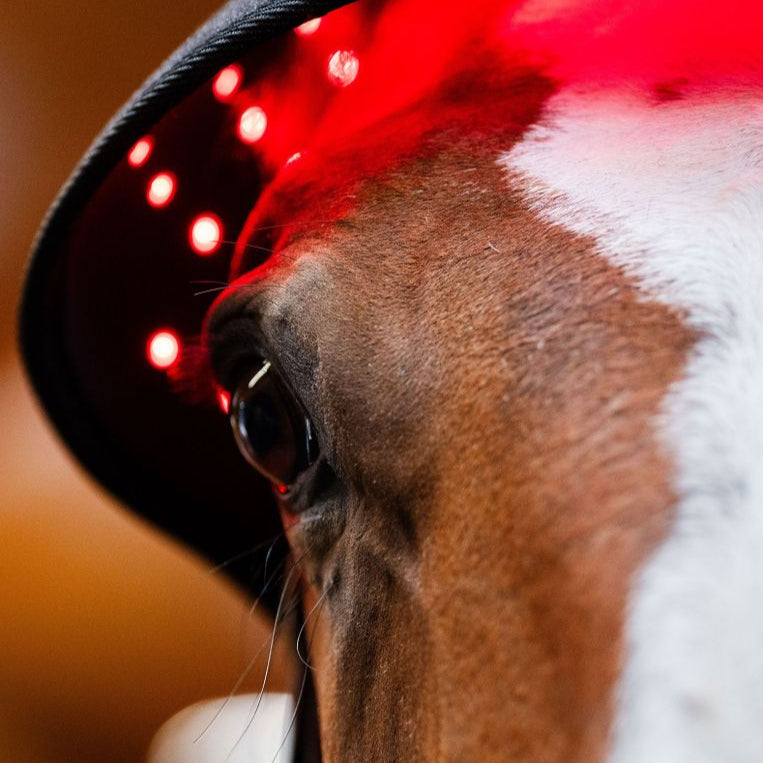 Horseware Ireland LED Red Light Therapy Poll Cap #colour_black-black