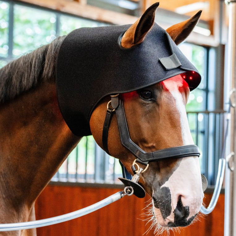 Horseware Ireland LED Red Light Therapy Poll Cap #colour_black-black