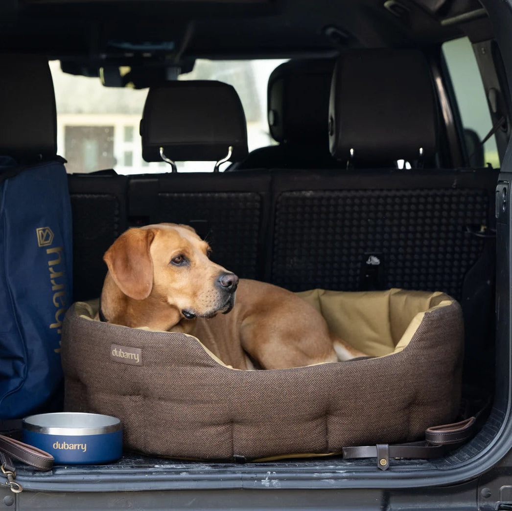 Dubarry Buster Dog Bed