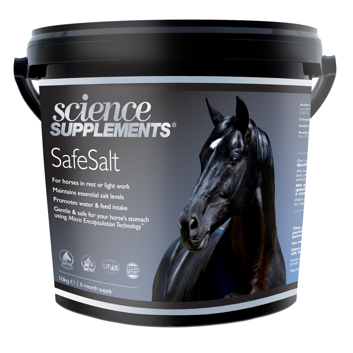 Wissenschaftliche Ergänzungen SafeSalt