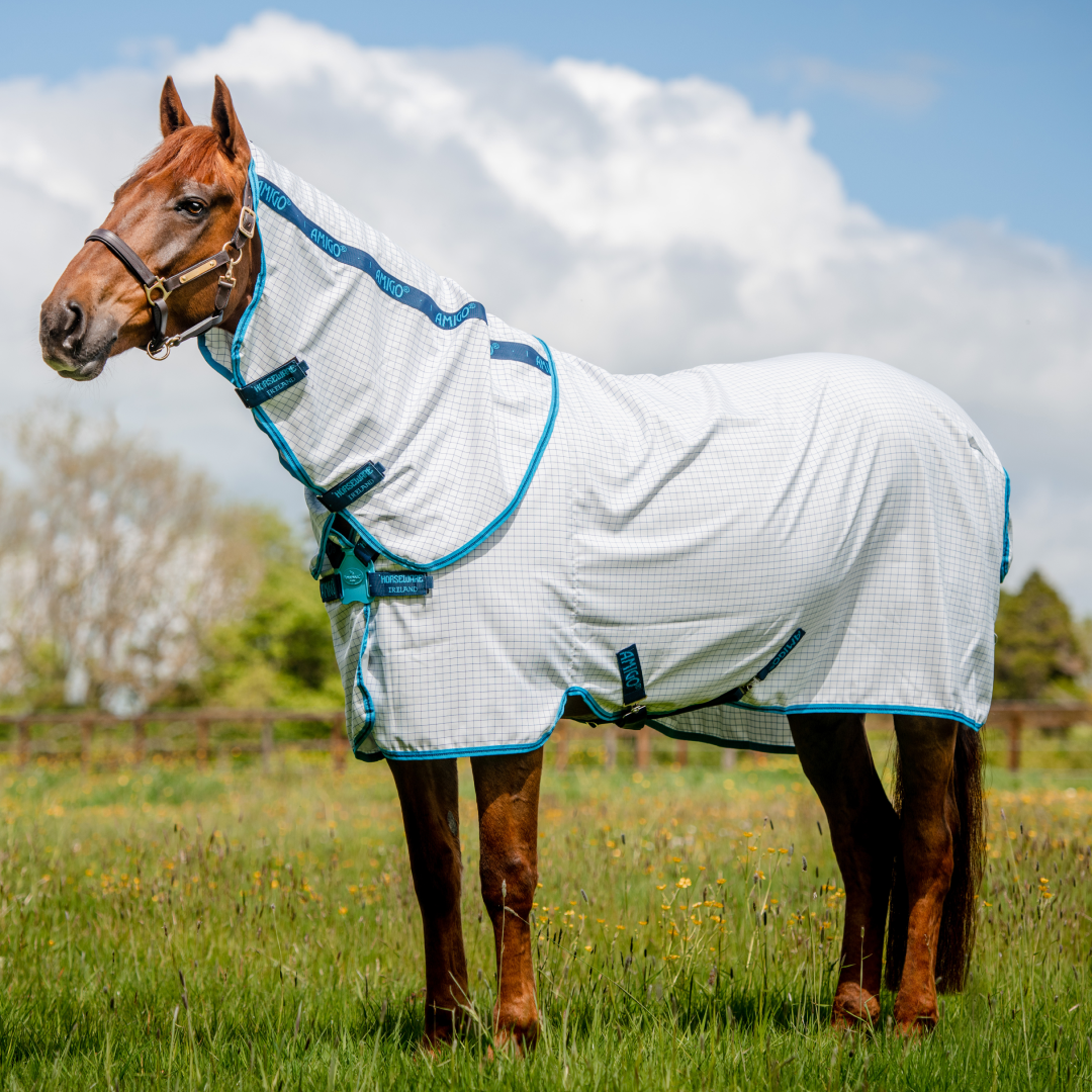 Horseware Ireland Amigo Aussie All Rounder GS Equestrian