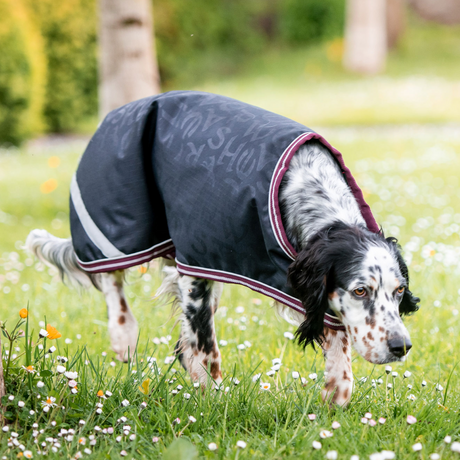 Horseware Ireland Amigo Dog Rug Ripstop #colour_navy-hw-print-burgundy-white