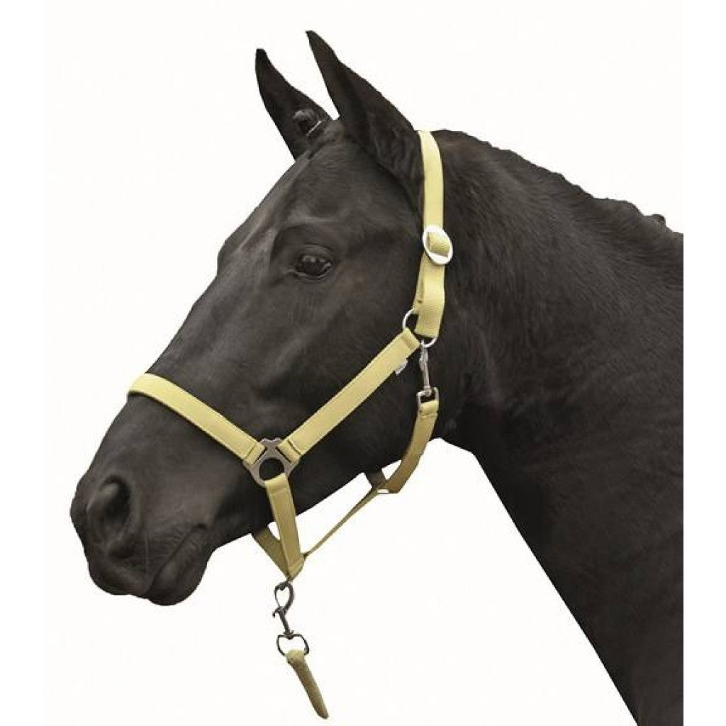 HKM Head collar -Stars Economy Softice-