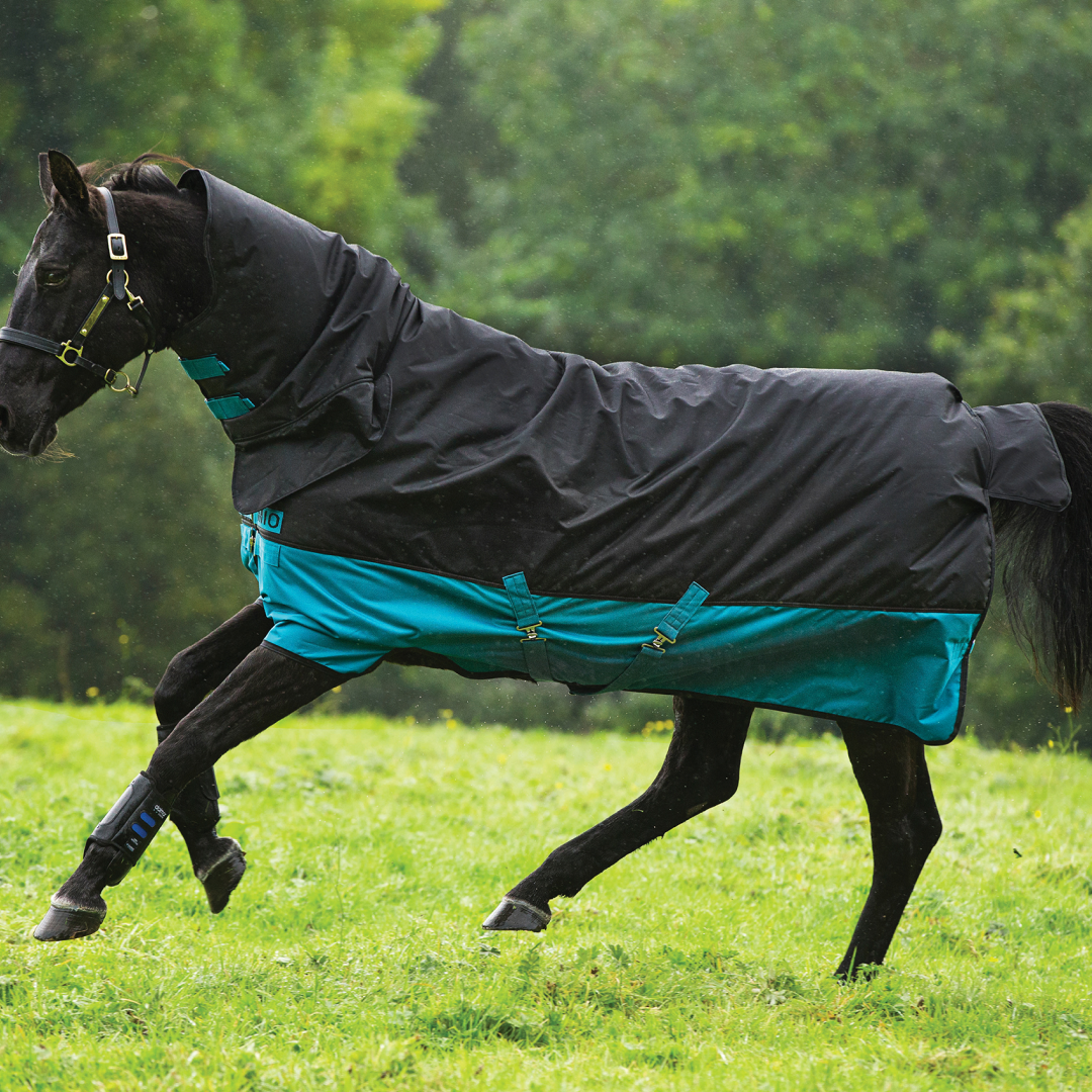 #colour_black-turquoise