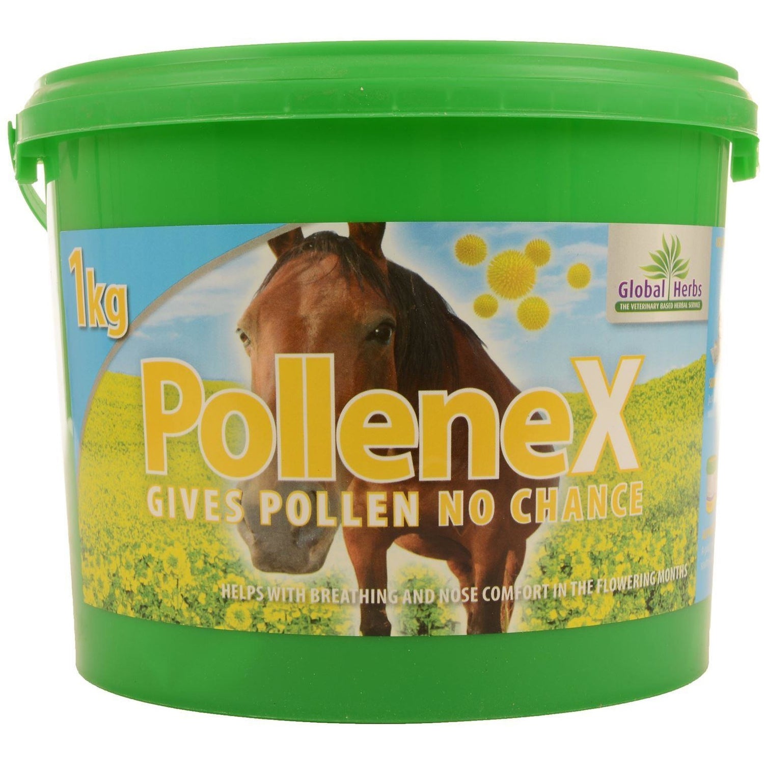 Pollenex aux herbes mondiales
