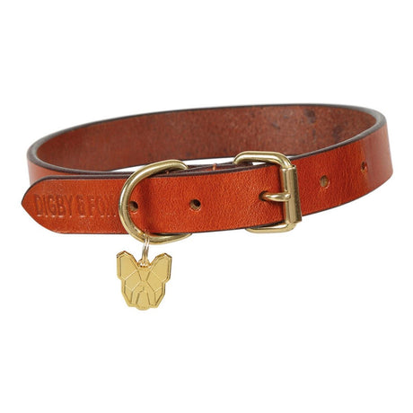 Digby & Fox Flat Leather Dog Collar