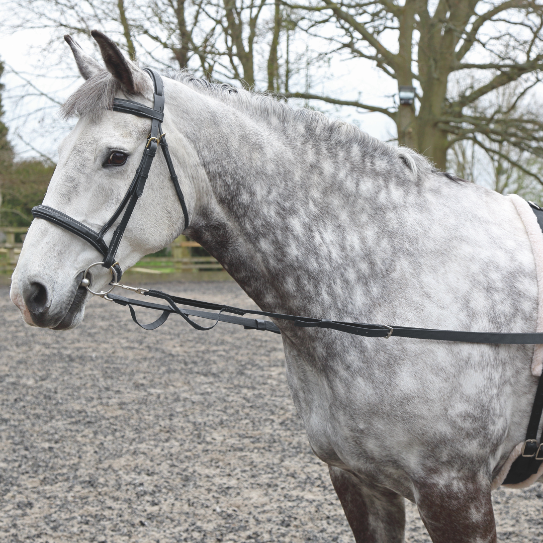 Shires Nylon Web Seitenzügel