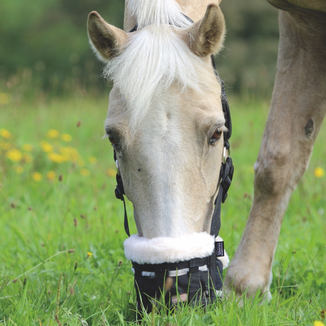 Muselière De Pâturage Shires Deluxe Comfort – Réglable, Confortable Et Efficace Pour Le Contrôle De L’Herbe