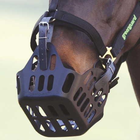 Shires Greenguard Muzzle