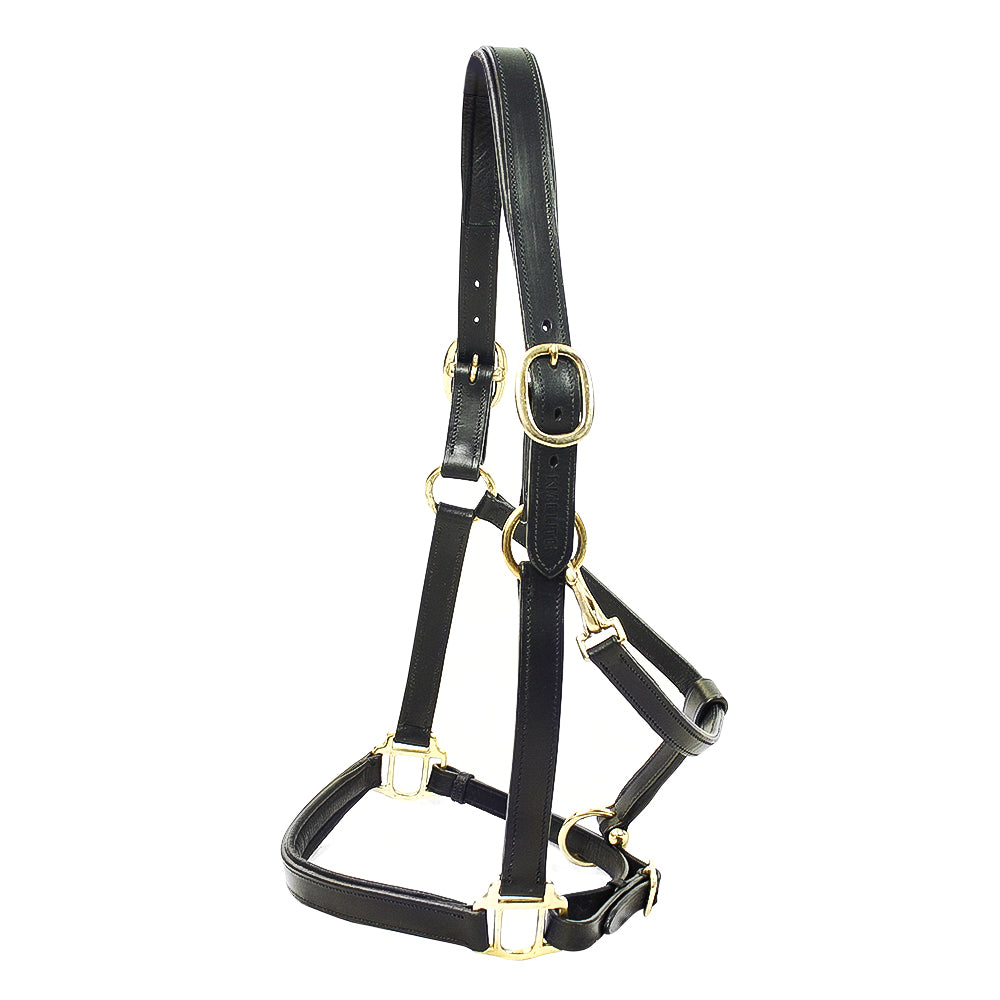 KM Elite Primera Padded Leather Headcollar #colour_black