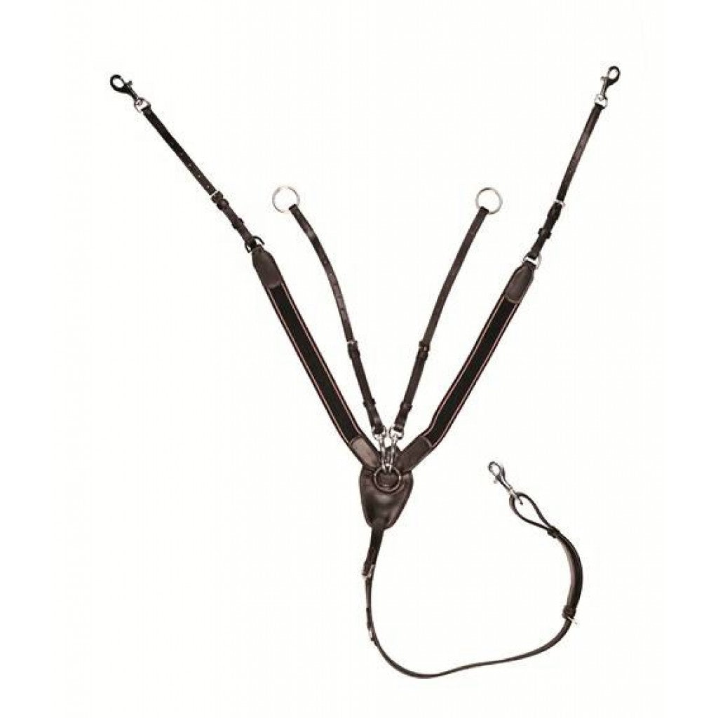Cuirasse HKM Avec Martingale