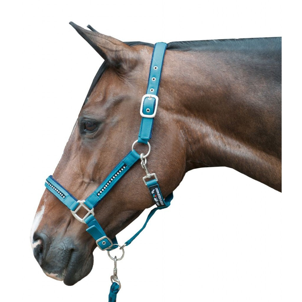 HKM Head Collar & Lead Rope Set -Crystal- Soft Padded