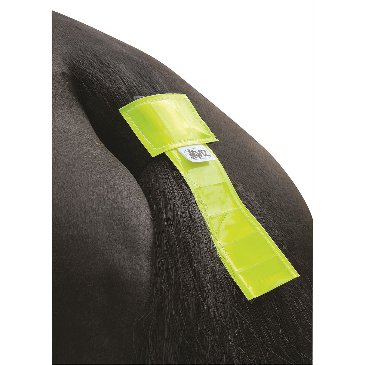 Bande de queue HyVIZ