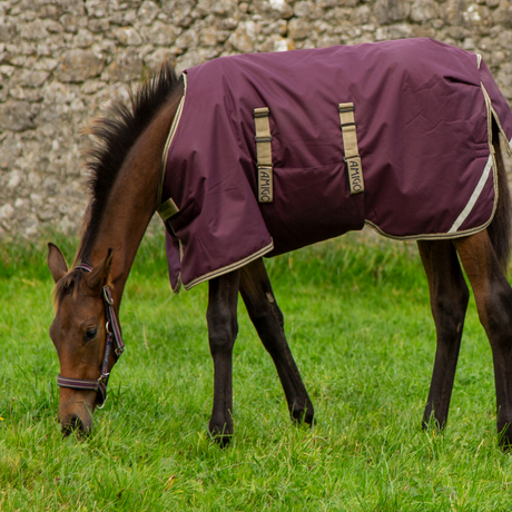 Horseware Ireland Amigo Foal Rug 200g Ripstop #colour_fig-navy-tan