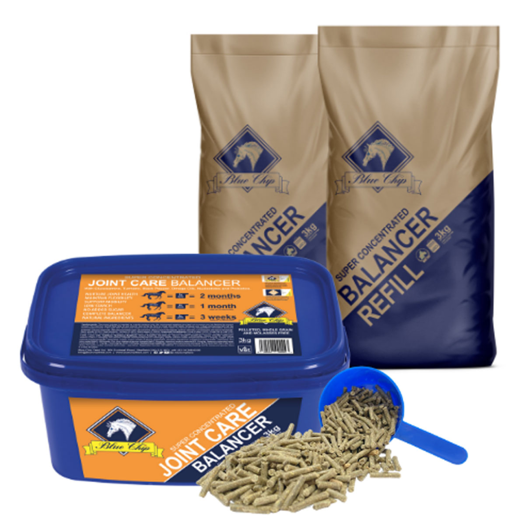 Blue Chip Super Concentrated Joint Care Balancer #size_2-3kg-refill-bags