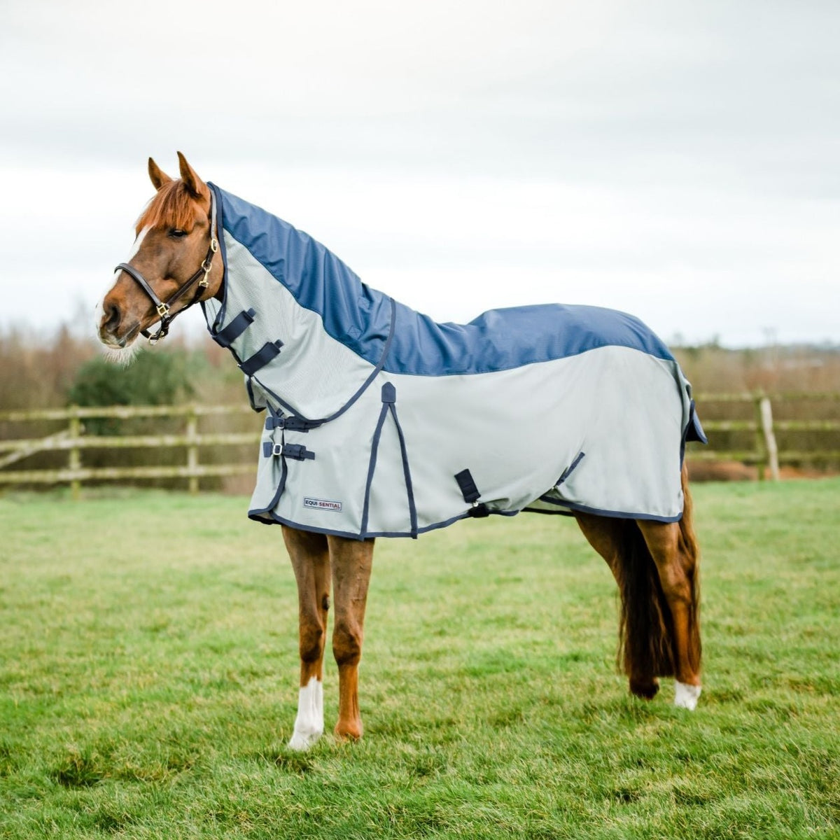 EquiSential Waterproof Flysheet GS Equestrian