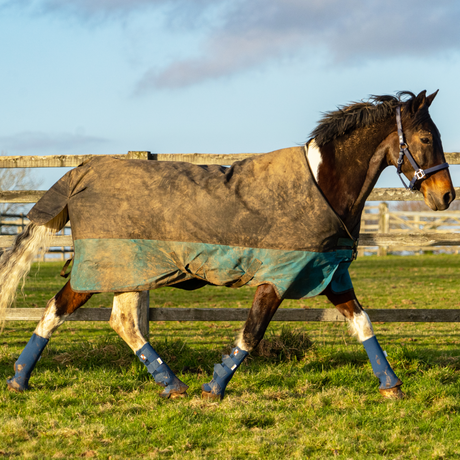 Equilibrium Equi-Chaps Hardy Chaps #colour_navy