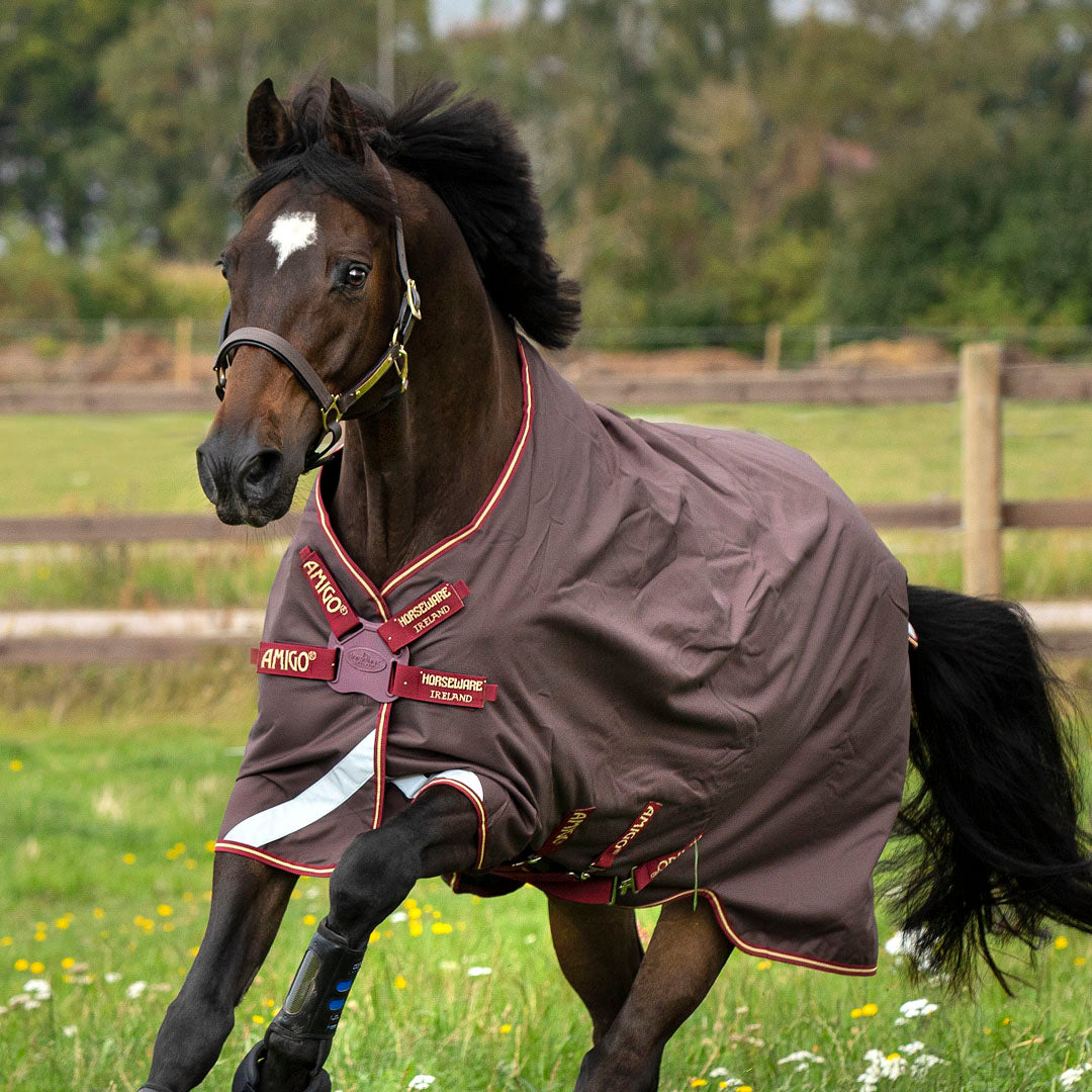 Couverture de participation Horseware Ireland Amigo Bravo 12 Original 0g Lite avec fermeture avant à disque