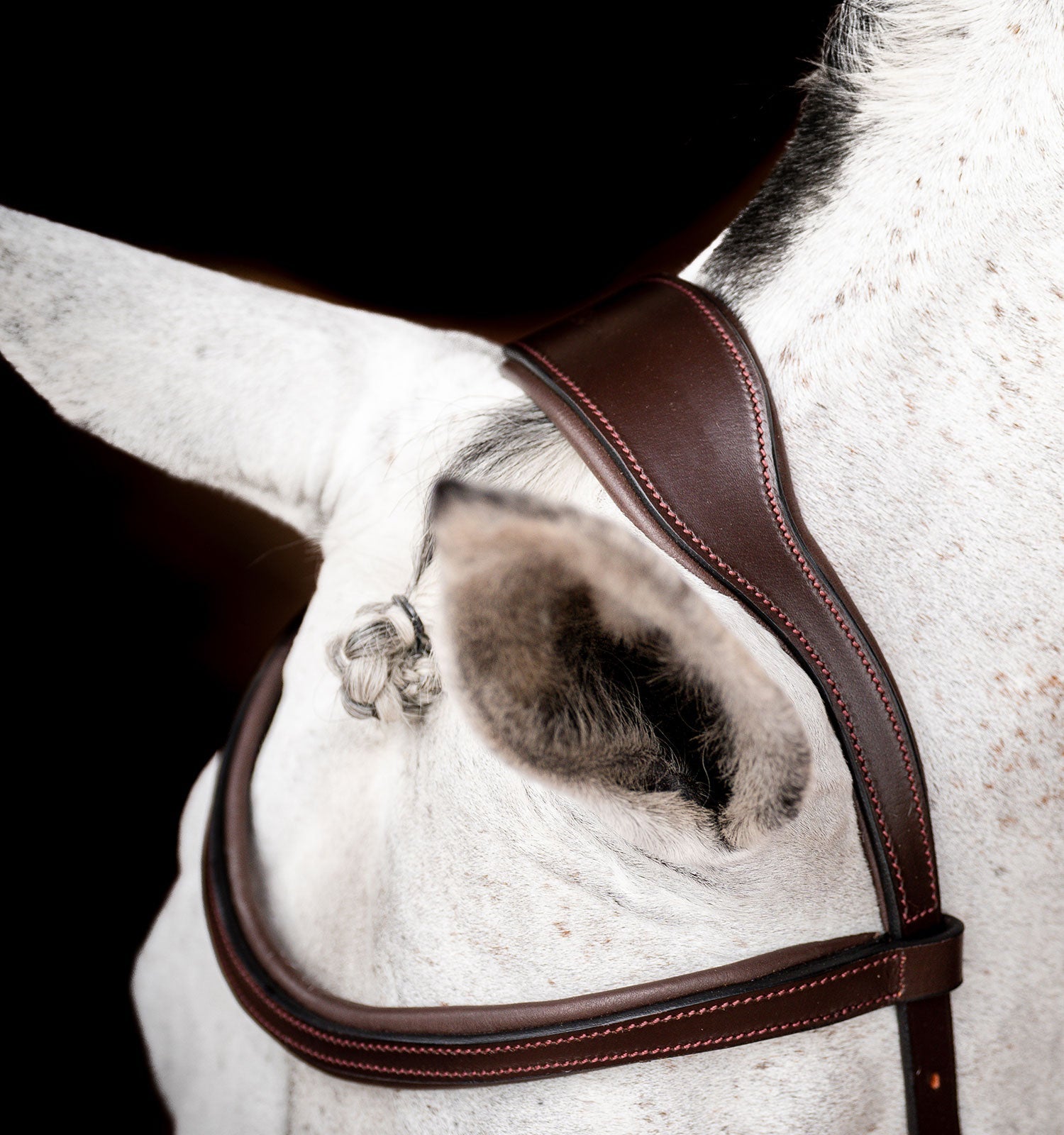 Horseware Ireland Micklem 2 Competition Bridle With Reins #colour_dark-havana