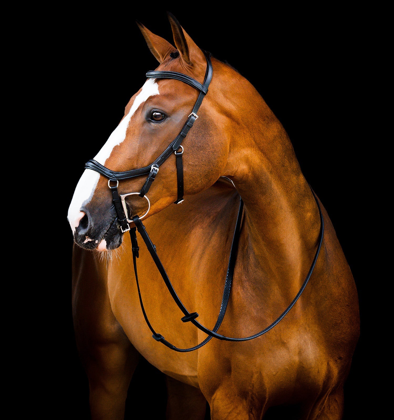 Horseware Ireland Micklem 2 Deluxe Competition Bridle With Reins #colour_black