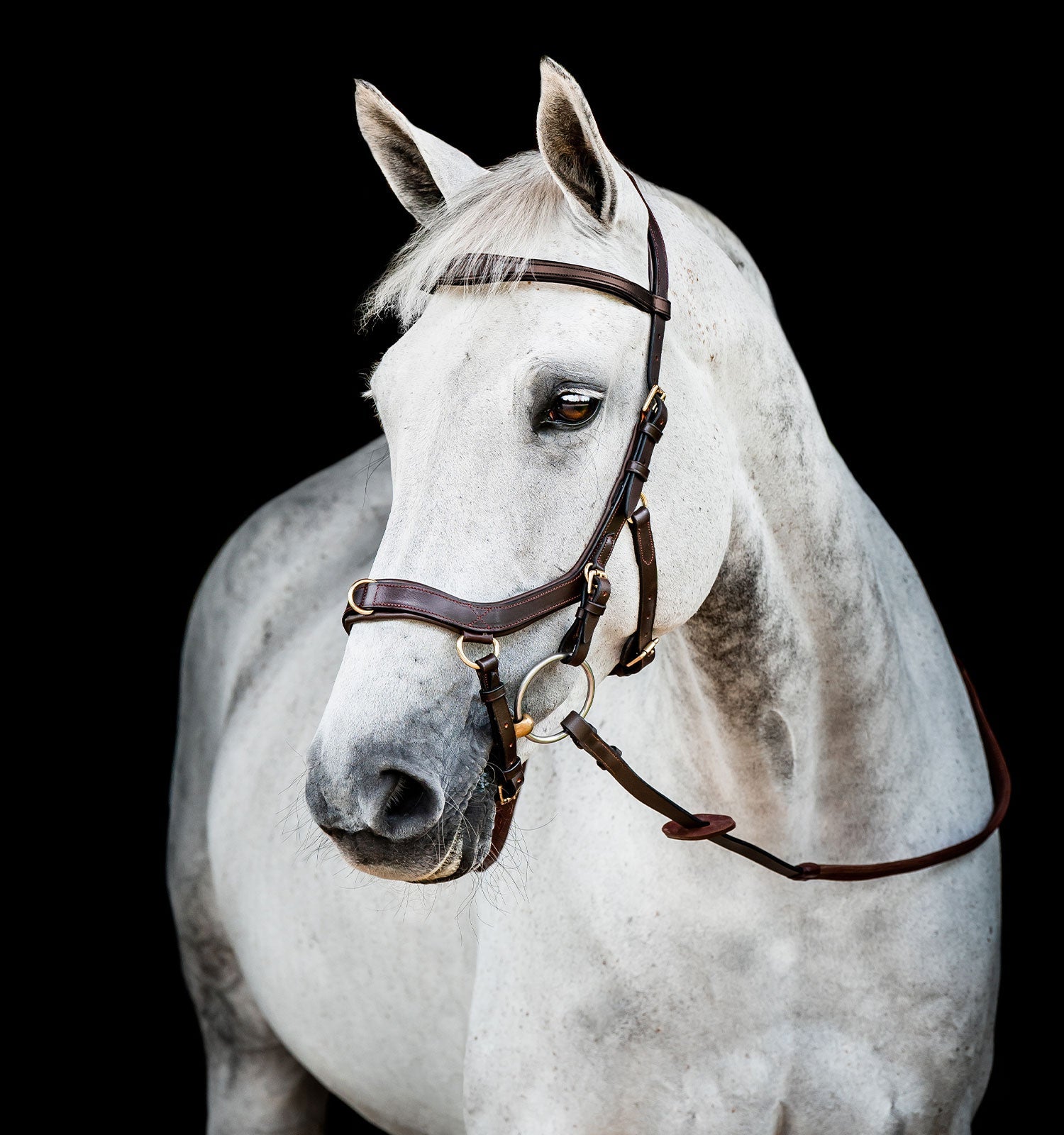 Horseware Ireland Micklem 2 Multi Bridle #colour_dark-havana
