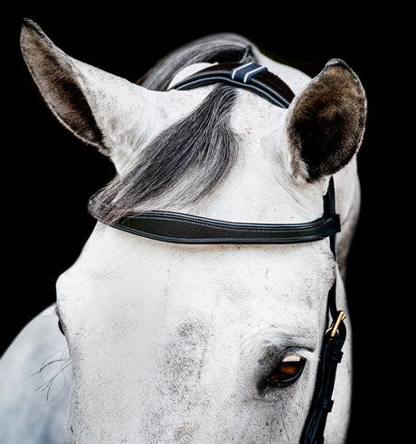 Horseware Ireland Micklem 2 Multi Bridle #colour_black