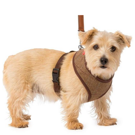 House of Paws Memory Foam Harness #colour_brown-tweed