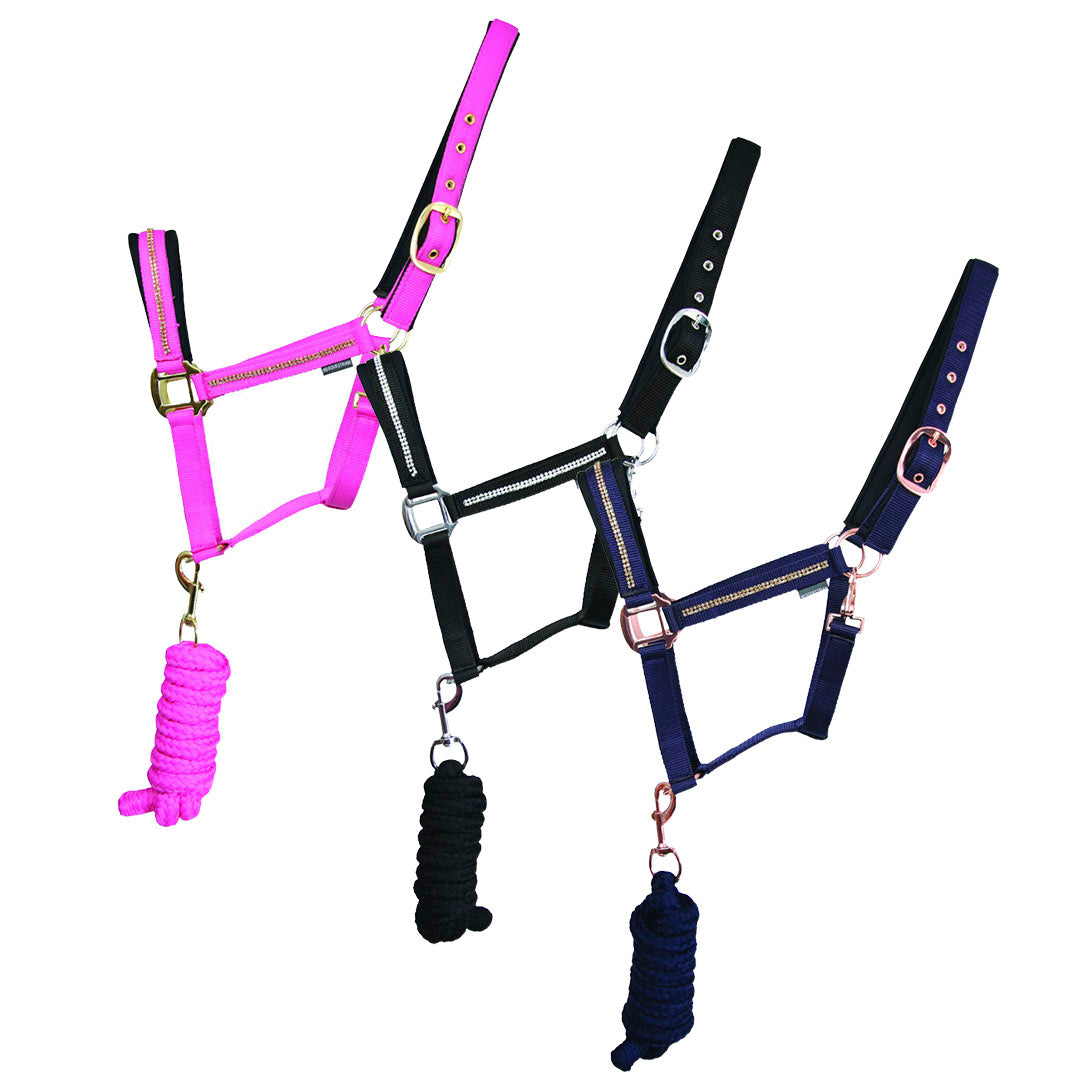 Ensemble licol et laisse scintillants Hy Equestrian