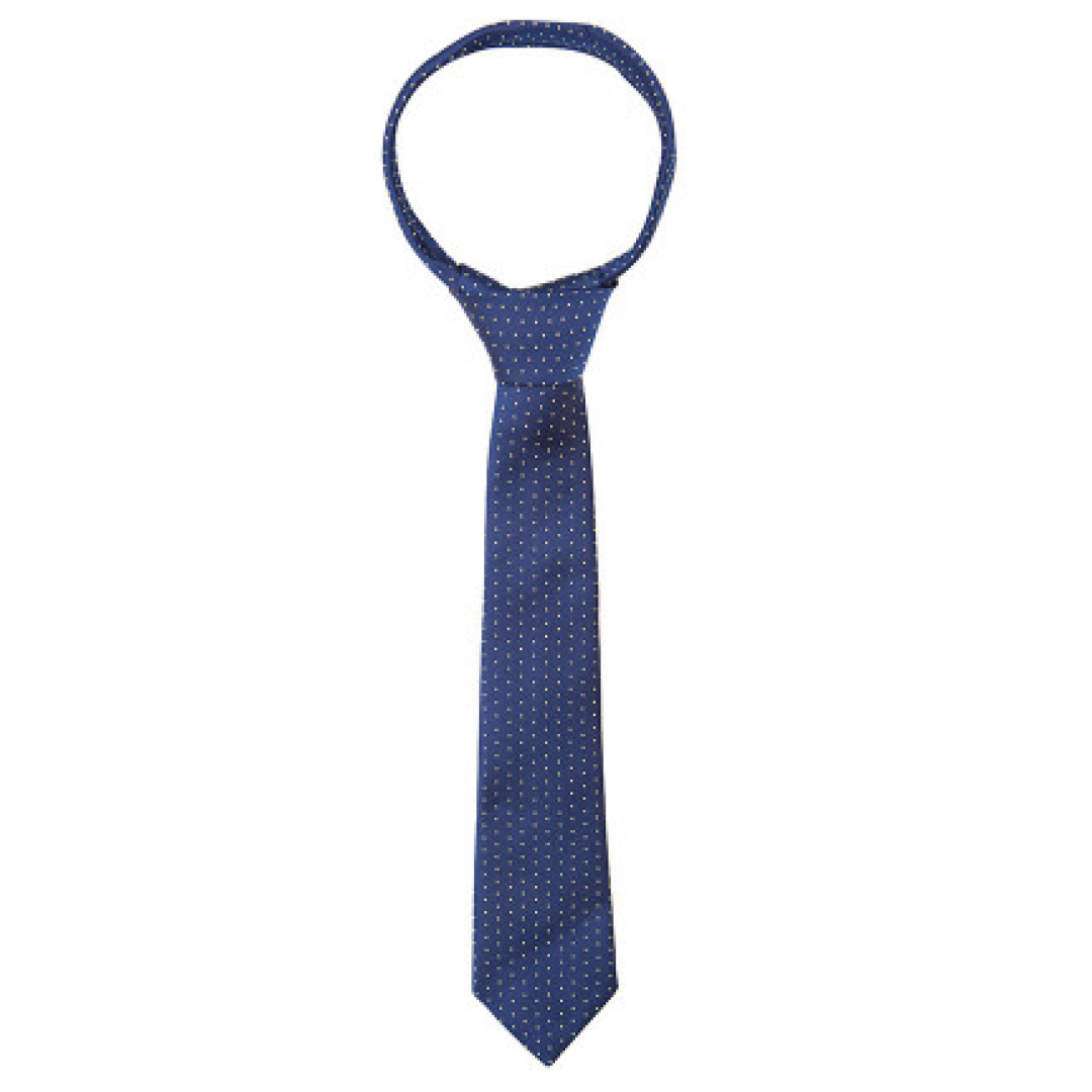 #colour_navy-gold-spot