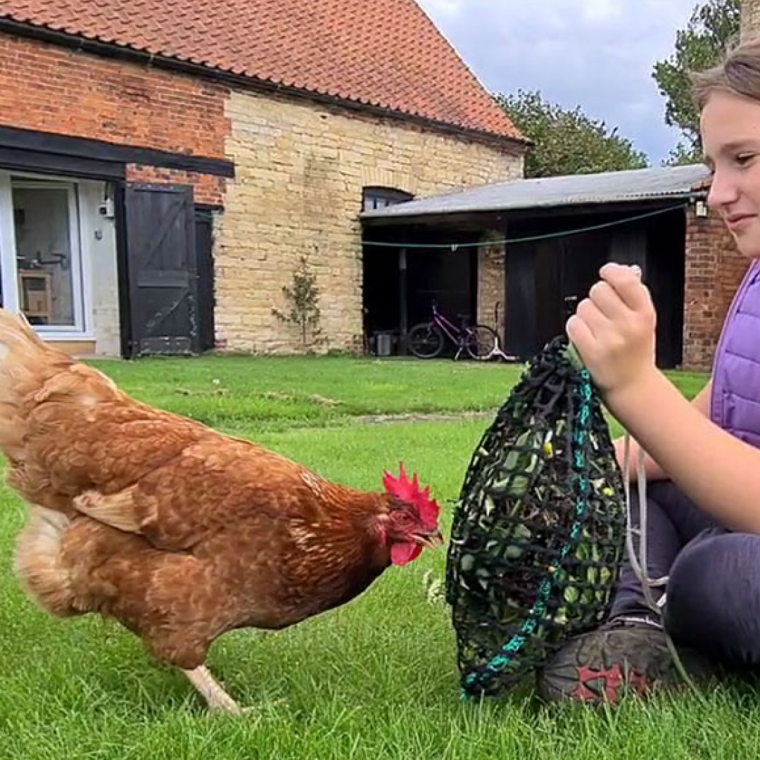 Trickle Net Chirpy Chook Meadow Netz