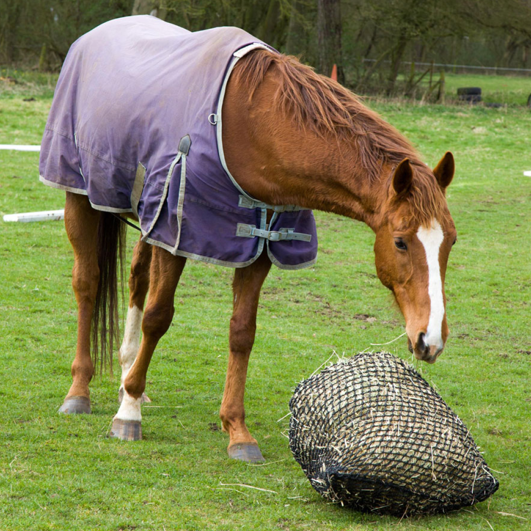 Trickle Net Original