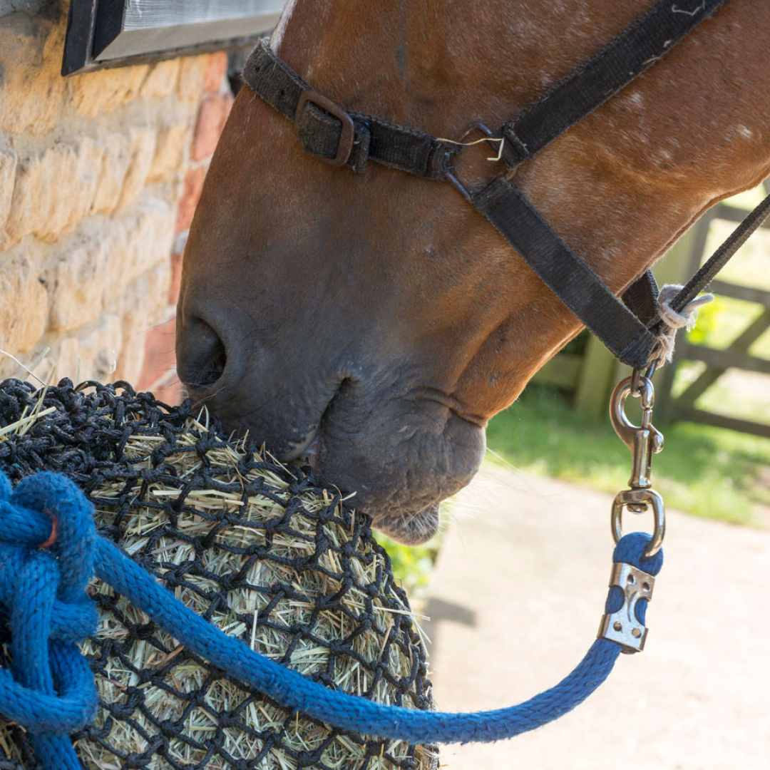 Trickle Net Original