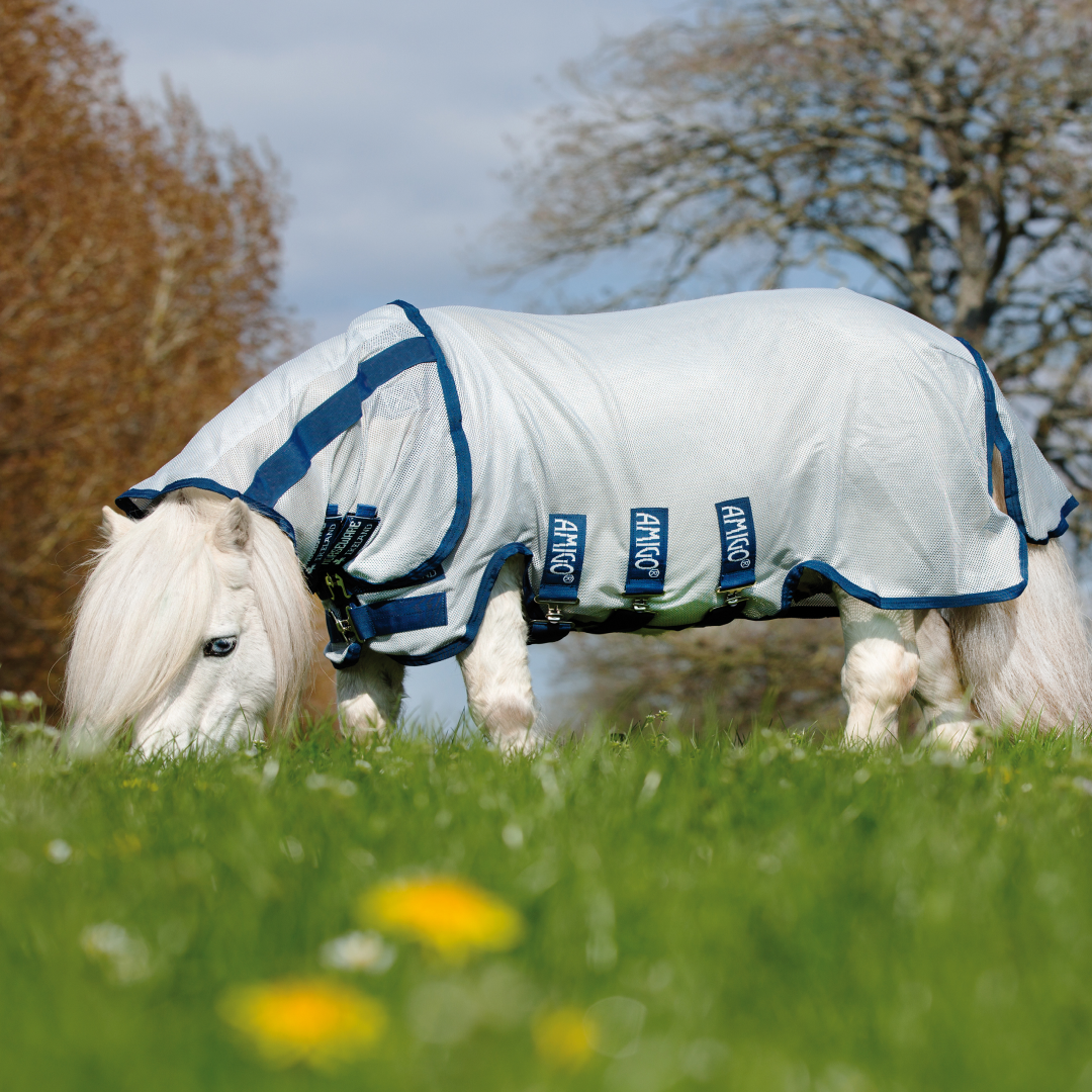 #colour_azure-blue-electric-blue-navy