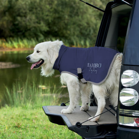 Horseware Ireland Rambo Dog Dry Rug #colour_navy-silver