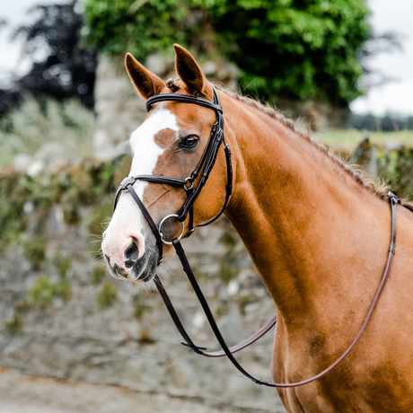 Mackey Classic Padded Grackle Bridle