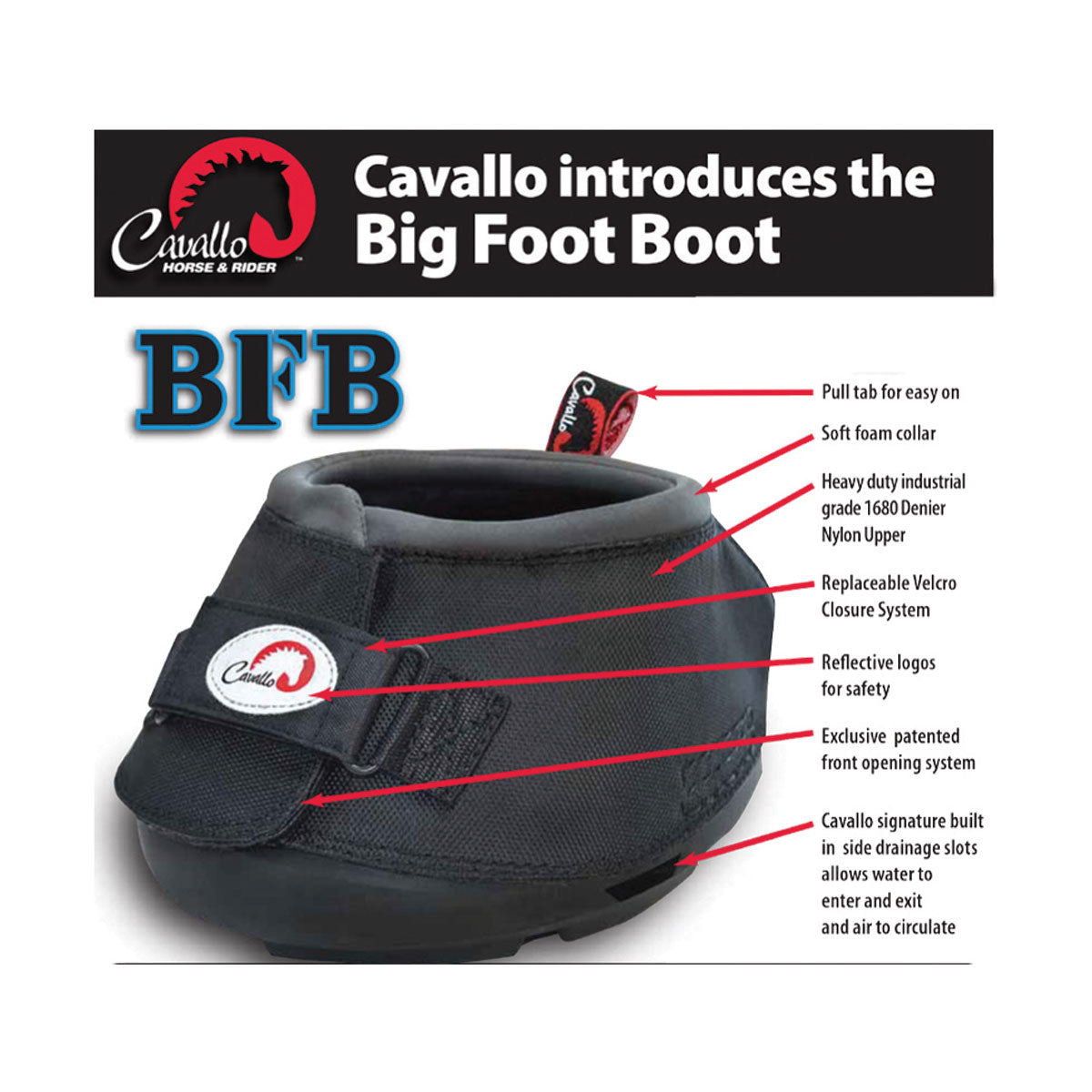 Cavallo Gros Pied