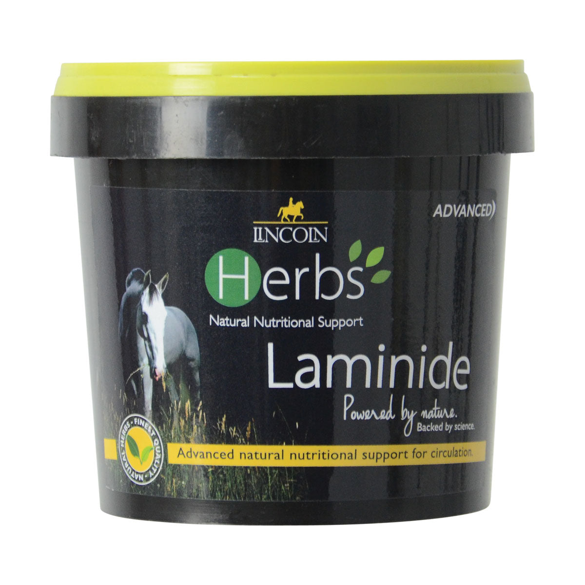 Laminide de Lincoln Herbs