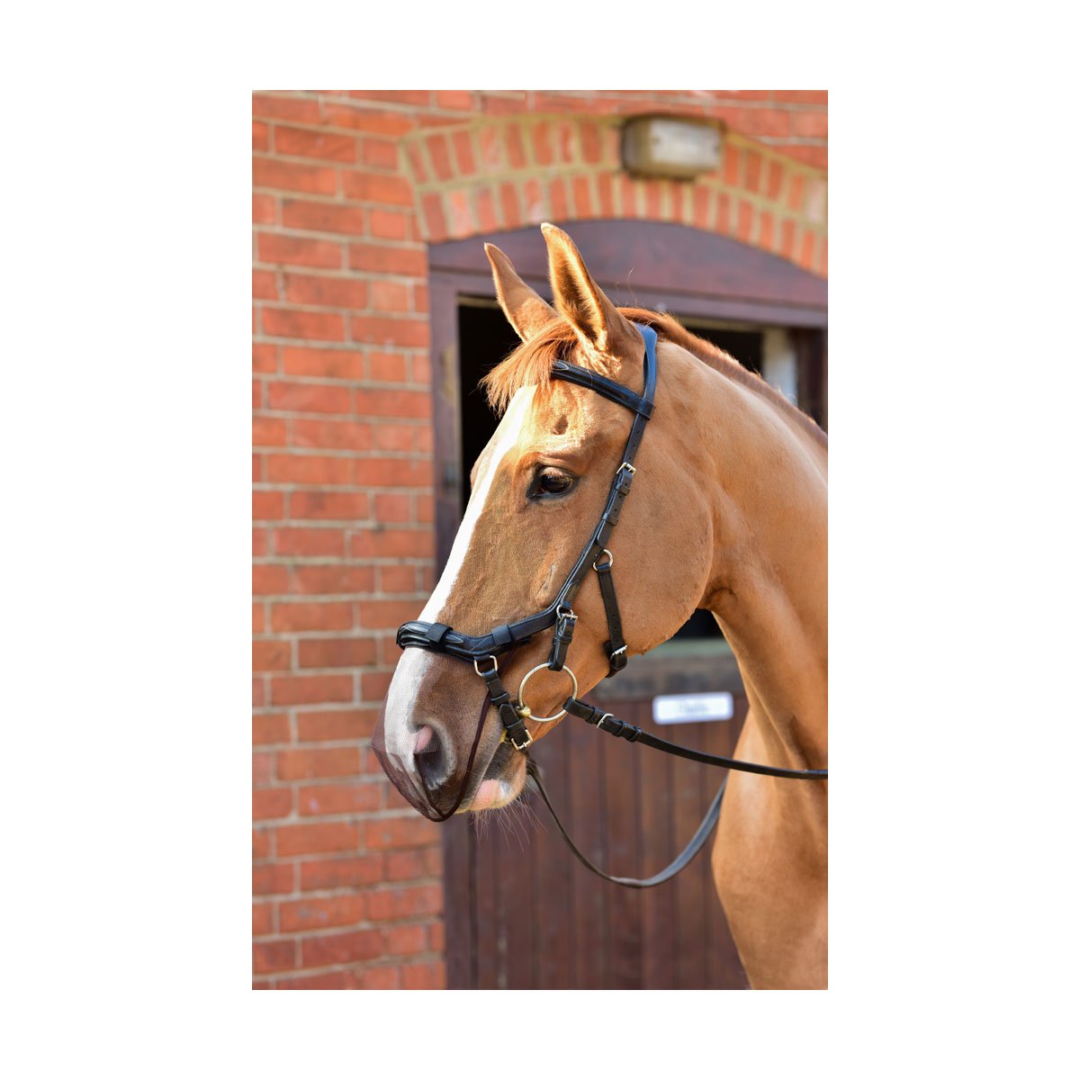 Equilibrium Net Relief Muzzle Net for Micklem® Bridles