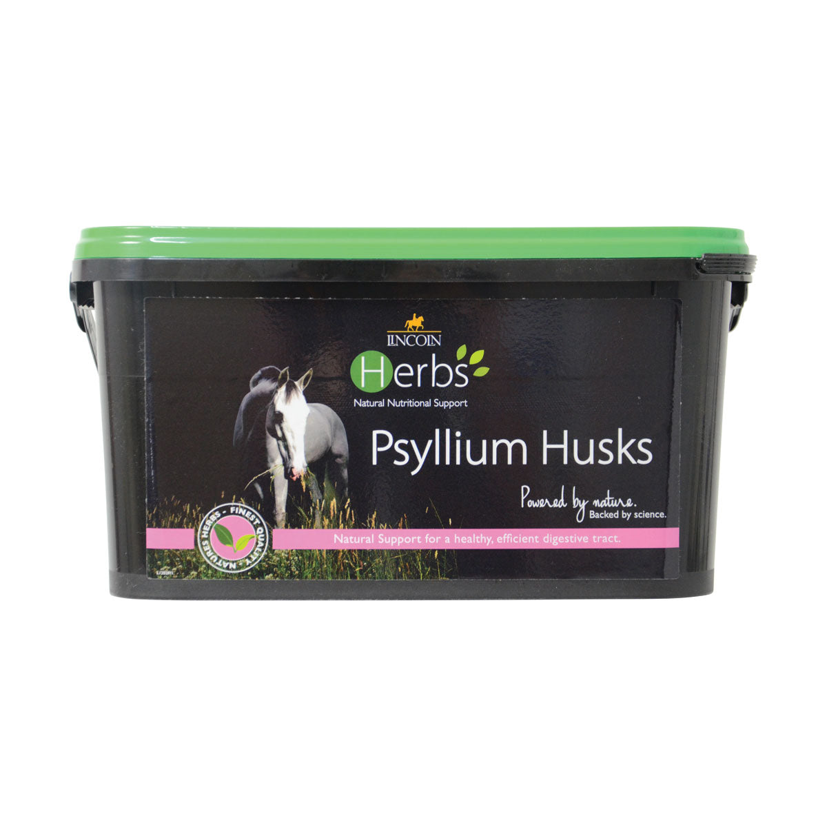 Cosses de psyllium de Lincoln Herbs