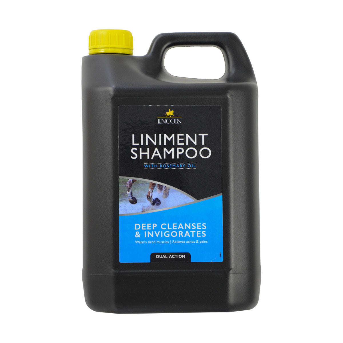 Shampoing liniment Lincoln