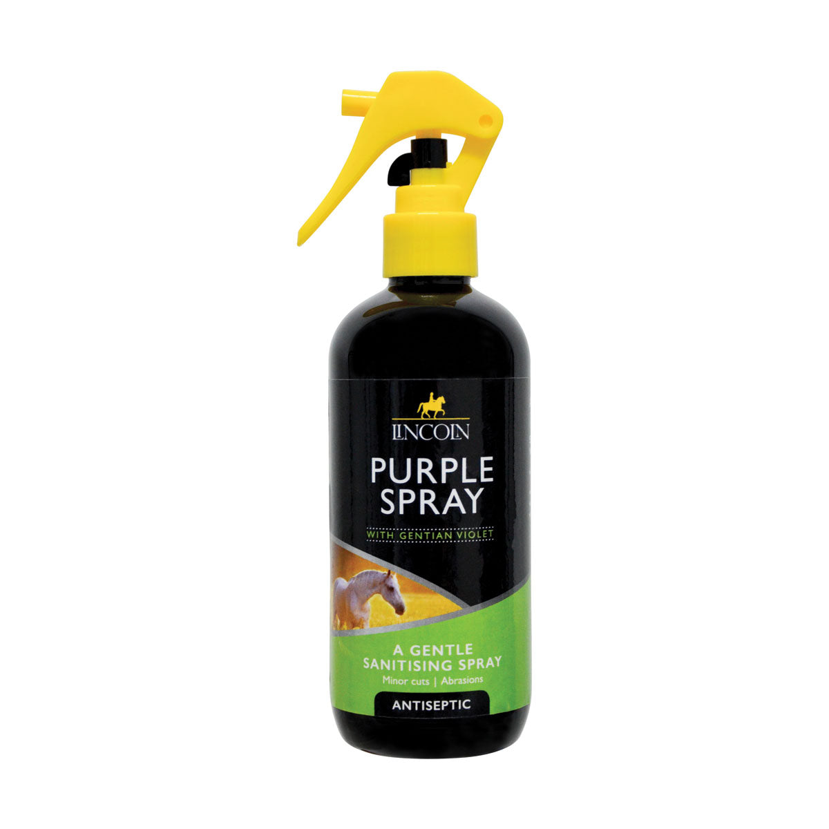 Spray violet Lincoln