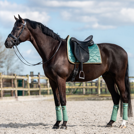 PS of Sweden Celadon Signature Dressage Saddle Pad #colour_celadon