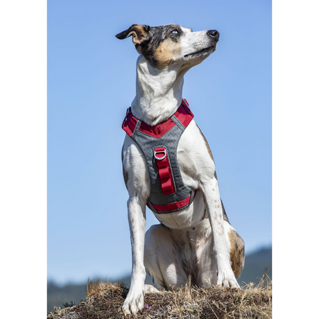Kurgo Journey Air Harness #colour_red