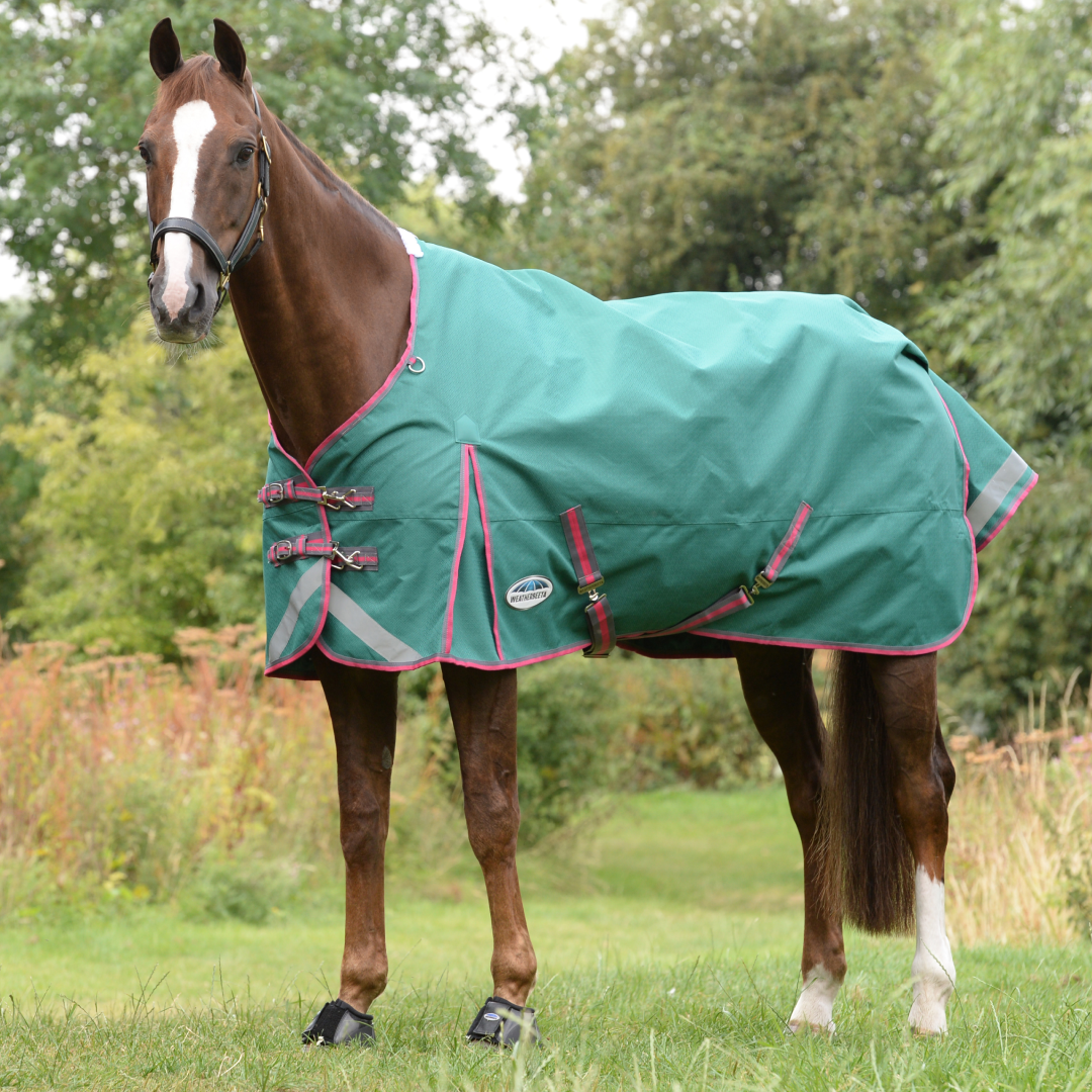 Weatherbeeta Comfitec Plus Dynamic II Standard Neck Lite – GS Equestrian