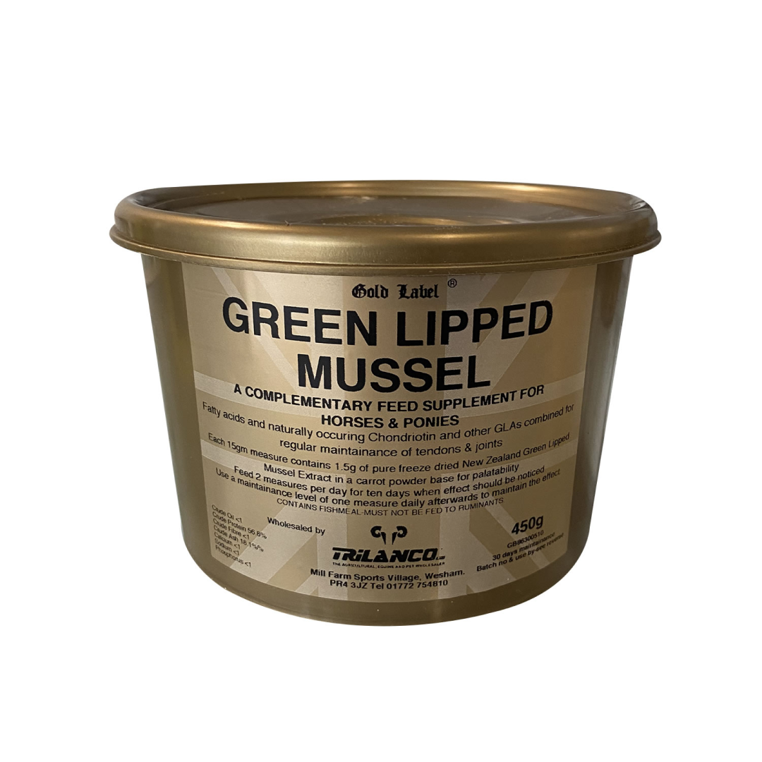 Gold Label Grünlippmuschel