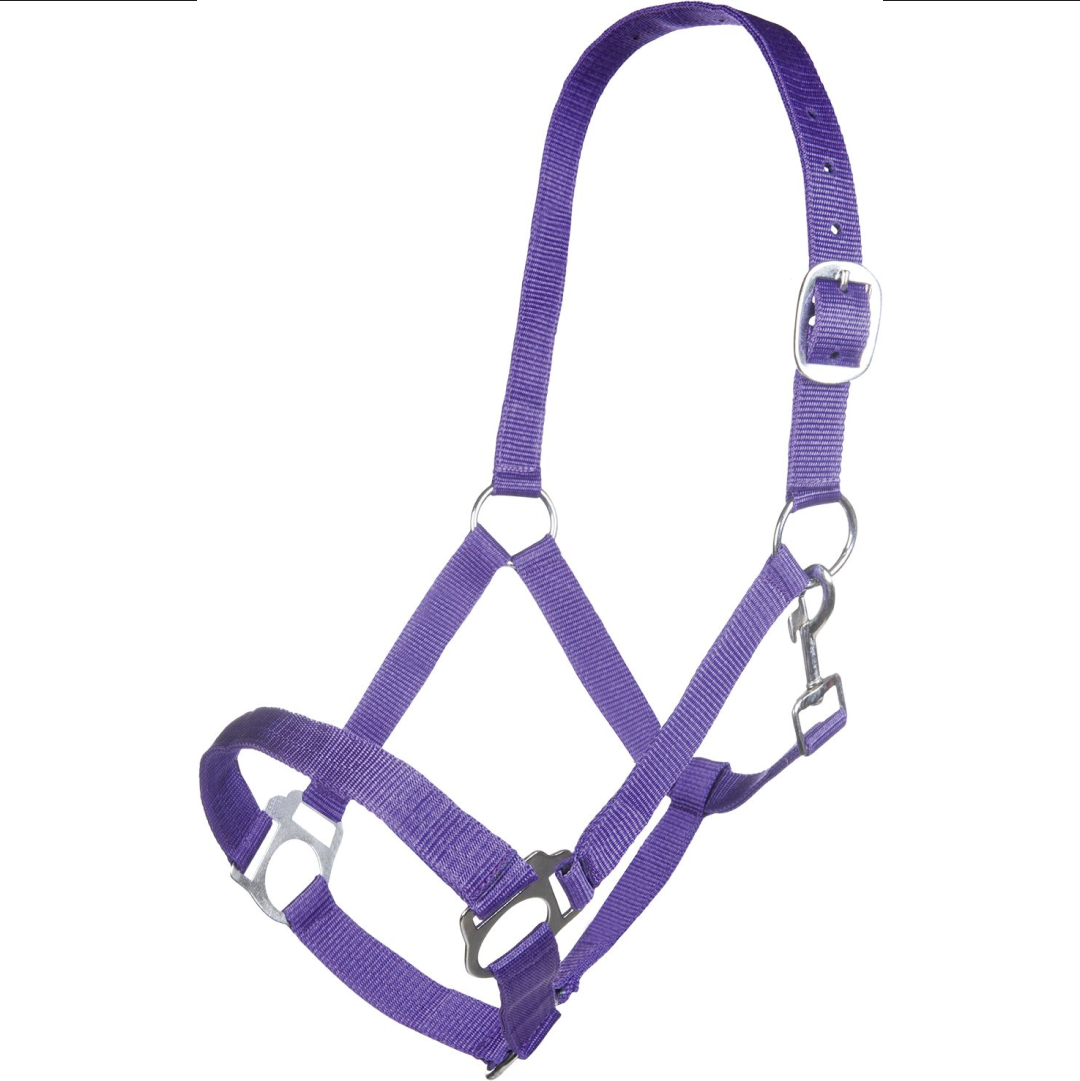 HKM Innsbruck Head Collar #colour_lilac