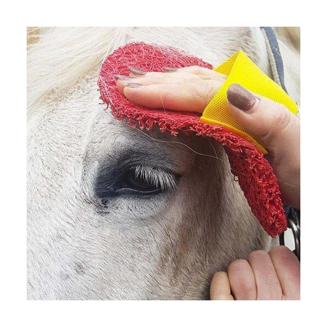 Intelligentes Pflege -Original Super Groomer