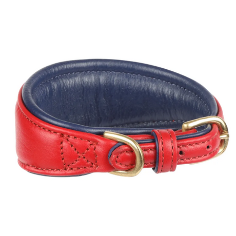 Shires Digby & Fox Padded Greyhound Collar #colour_scarlett