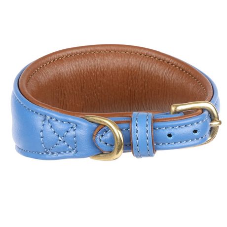 Shires Digby & Fox Padded Greyhound Collar #colour_royal